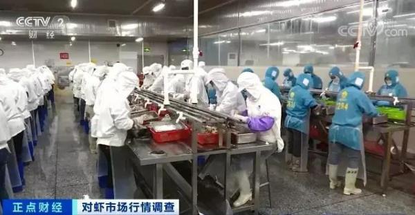这种海鲜价格腰斩！很多人都爱吃！