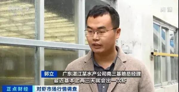 这种海鲜价格腰斩！很多人都爱吃！