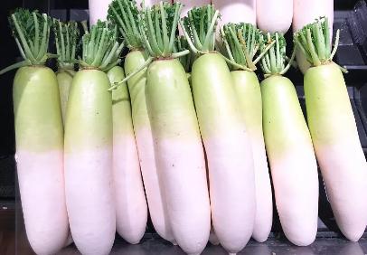 冬季进补“仙人骨”!排毒通便、增免疫,错过太可惜! 冬季进补“仙人骨”!排毒通便、增免疫,错过太可惜!