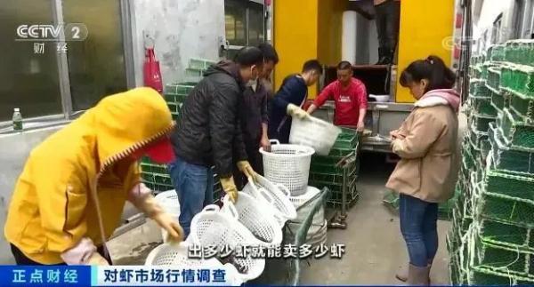 这种海鲜价格腰斩！很多人都爱吃！