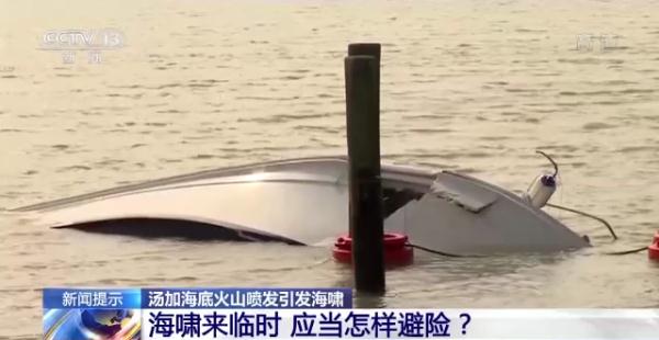 全球海啸的发生区主要分布在哪里？如何避险？看专家解读