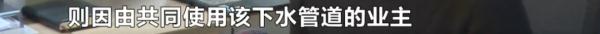 业主新房被粪水侵泡，她边哭边舀水，开发商留下一句话