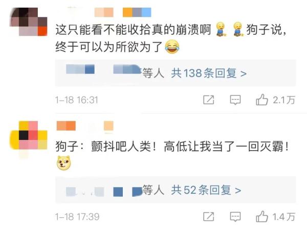 女子隔离14天,监控看狗子一点点把家拆完 女子隔离14天,监控看狗子一点点把家拆完