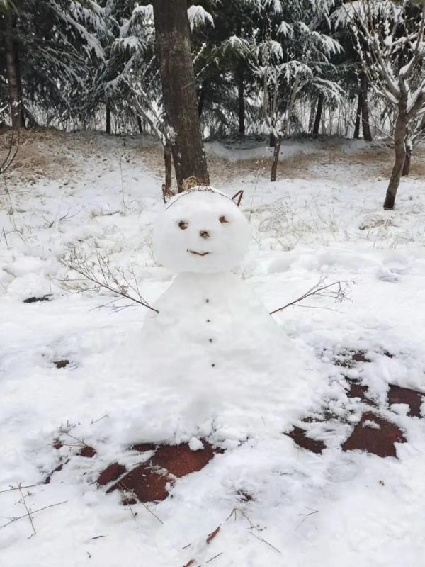 今夜起，河南雪势将再加大！