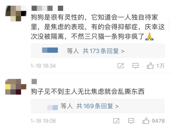 女子隔离14天,监控看狗子一点点把家拆完 女子隔离14天,监控看狗子一点点把家拆完