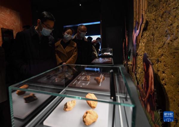 “宝墩遗址与宝墩文化展”开展 “宝墩遗址与宝墩文化展”开展