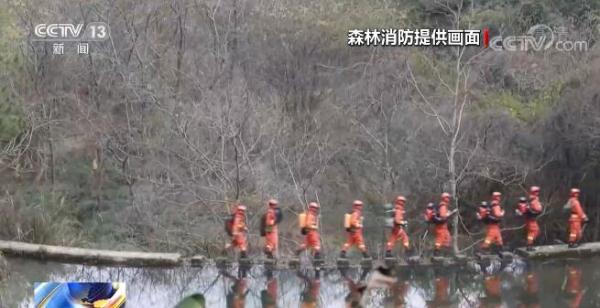 森林火警电话你知道吗？武夷山国家公园动植物种类丰富 森林消防加强巡护