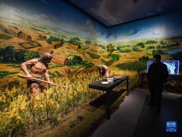 “宝墩遗址与宝墩文化展”开展 “宝墩遗址与宝墩文化展”开展