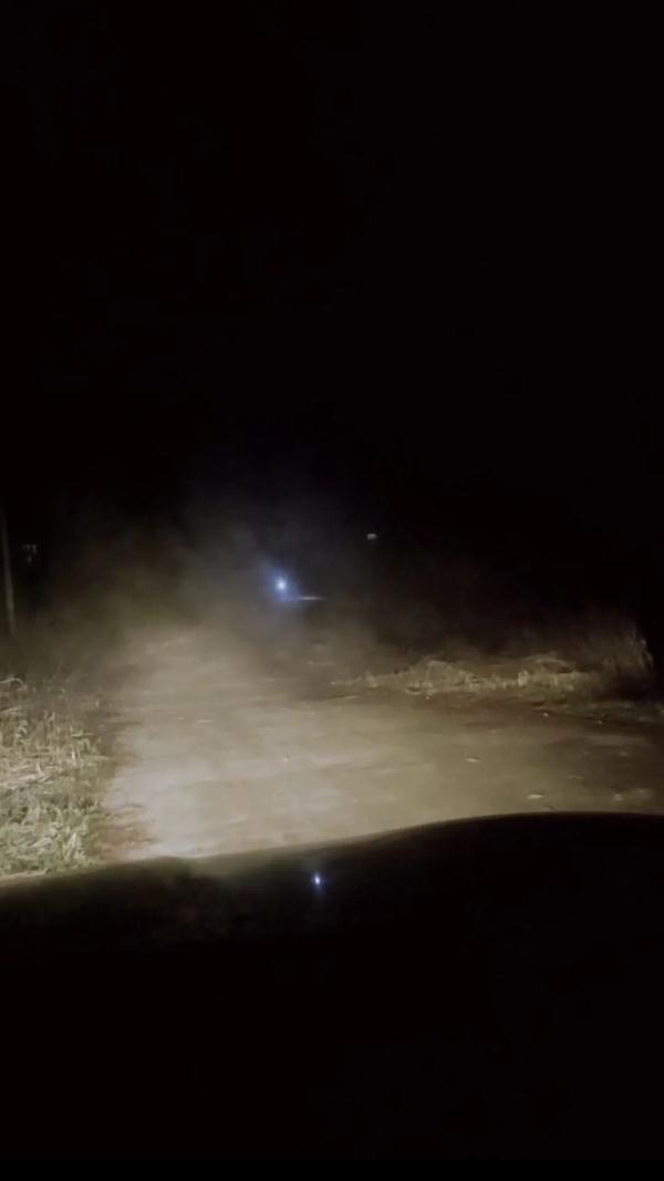 男孩打着手电筒深夜狂奔看哭网友，妈妈：这就是回家的理由