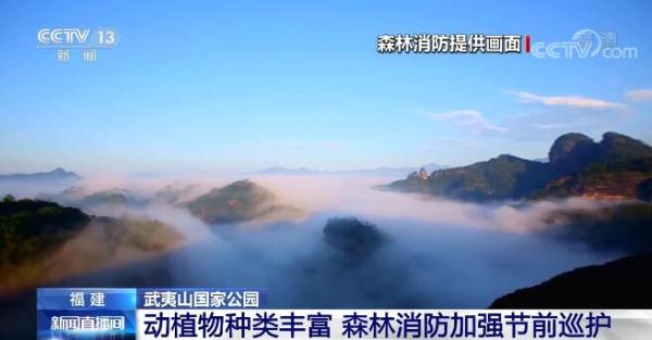 森林火警电话你知道吗？武夷山国家公园动植物种类丰富 森林消防加强巡护