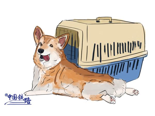 铁路部门提醒：回家过年，这些不能坐火车！