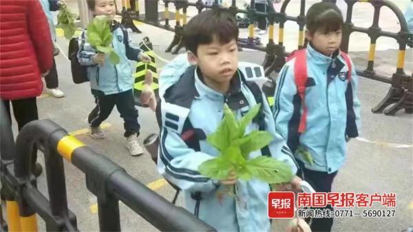 实名羡慕！散学典礼后，这些孩子们凭实力吃猪肉啃甘蔗！