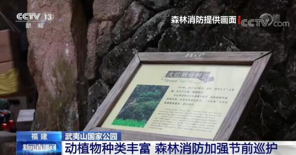 森林火警电话你知道吗？武夷山国家公园动植物种类丰富 森林消防加强巡护