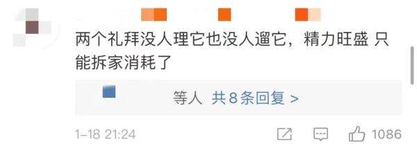 女子隔离14天,监控看狗子一点点把家拆完 女子隔离14天,监控看狗子一点点把家拆完