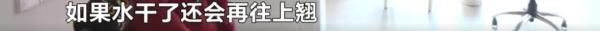 业主新房被粪水侵泡，她边哭边舀水，开发商留下一句话