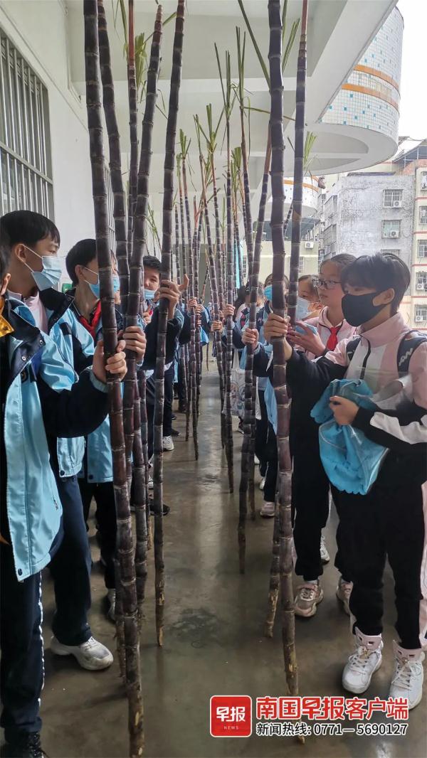 实名羡慕！散学典礼后，这些孩子们凭实力吃猪肉啃甘蔗！