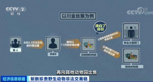 珍贵濒危野生动物被贩卖 非法交易链涉及多省