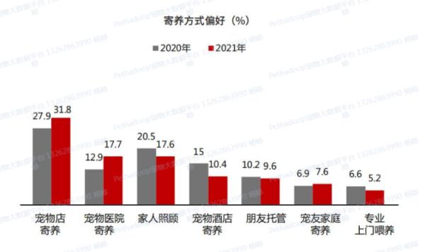 春节前宠物寄养火爆，上门喂养服务兴起！周到君带你体验上门遛狗...