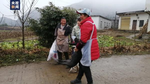 这个奖励有内味儿了！2斤猪肉、2根大葱、1条活鱼……