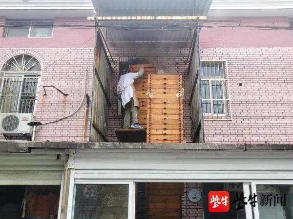 这东西竟然7米多高！网友看呆