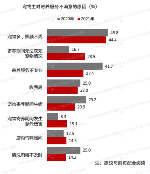 春节前宠物寄养火爆，上门喂养服务兴起！周到君带你体验上门遛狗...