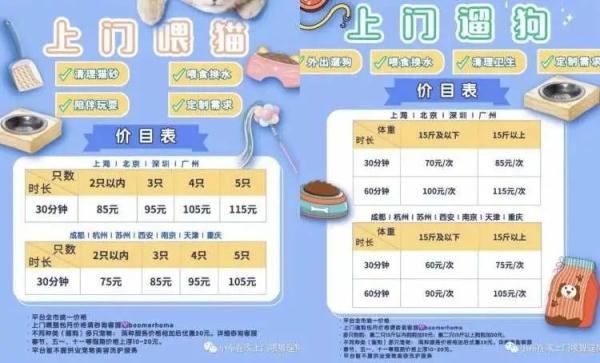 春节前宠物寄养火爆，上门喂养服务兴起！周到君带你体验上门遛狗...