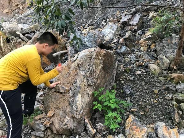 广州初中生“偶然”发现恐龙足迹，广东有恐龙的地方又多了一个