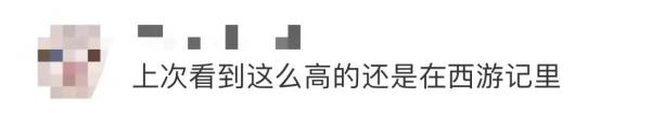 这东西竟然7米多高！网友看呆