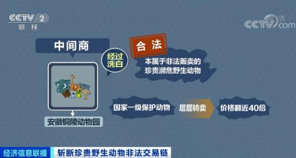 珍贵濒危野生动物被贩卖 非法交易链涉及多省
