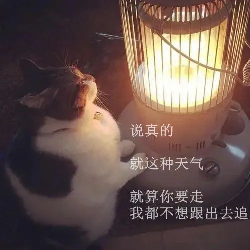 过年江西会下雪吗？春节天气……