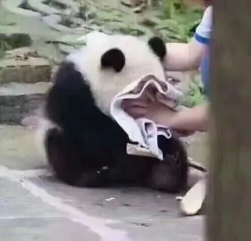 卡卡包月服务，刚放寒假熊孩子就被围栏卡住