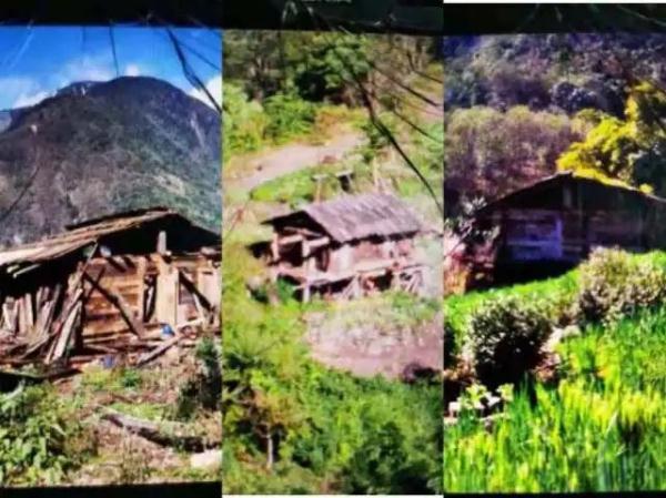 真·荒野求生！男子在5A景区隐居6年