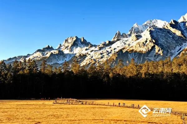 春节出游，全是干货丨云南16州市景区优惠暨文旅活动速看→