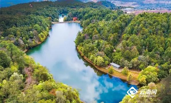 春节出游，全是干货丨云南16州市景区优惠暨文旅活动速看→