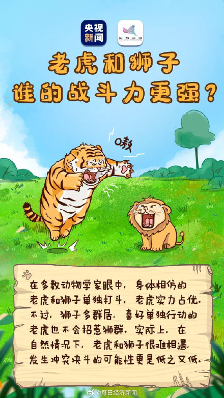 虎的夜视力是人类的6倍