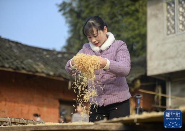 这个四川妹子去年卖了4000万斤萝卜