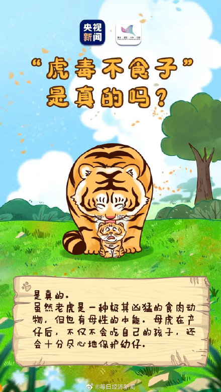 虎的夜视力是人类的6倍