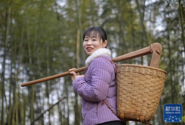 这个四川妹子去年卖了4000万斤萝卜