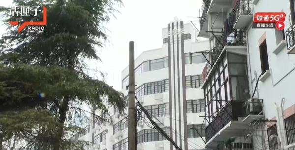 松树长到3层楼高“屏蔽”阳光，上海阿姨疾呼：还我太阳！到底怎么办→