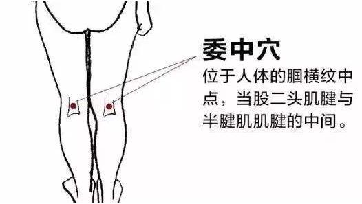 身上藏着9个窝，都是上天给你的治病药，不会用太可惜~