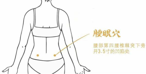 身上藏着9个窝，都是上天给你的治病药，不会用太可惜~