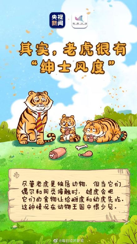 虎的夜视力是人类的6倍