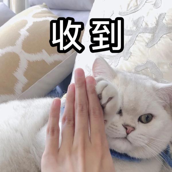 今天，青岛这里进行重要演练！关于春节旅游有个最新提醒