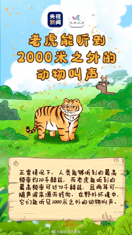 虎的夜视力是人类的6倍