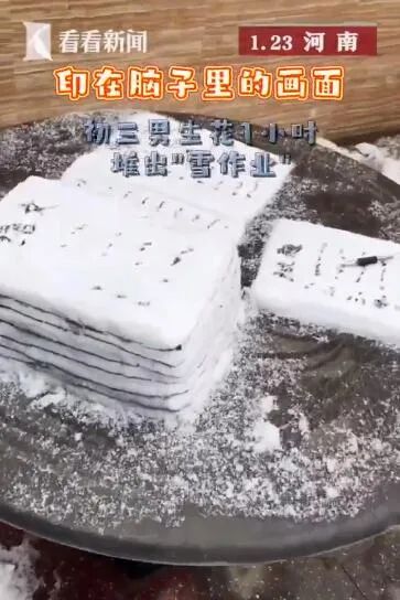 初三男生堆出“雪作业”，网友：印在脑子里的场景！