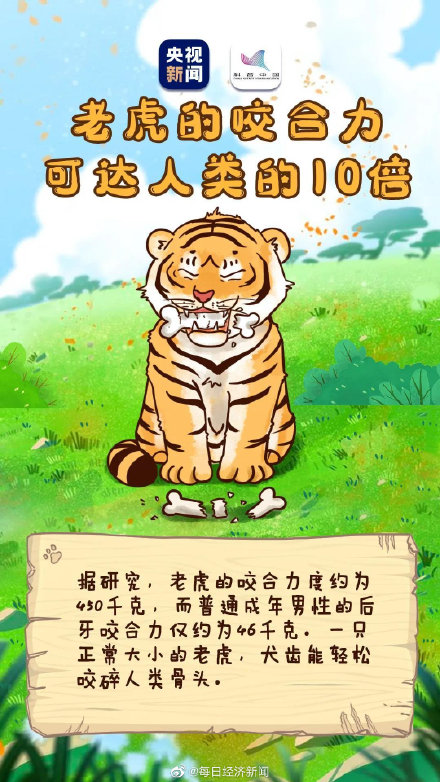 虎的夜视力是人类的6倍