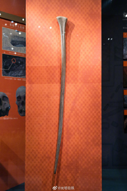 4500年前古蜀先民爱吃什么 4500年前古蜀先民爱吃什么