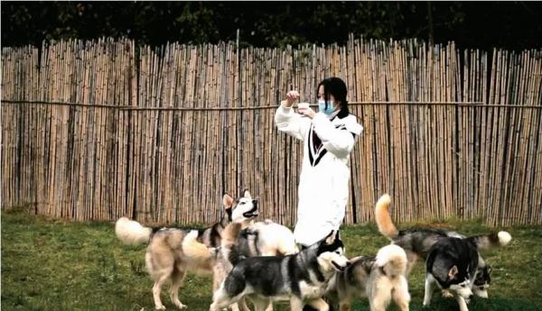 铲屎官返乡,崽子要寄养还是托人上门喂?专家这样说… 铲屎官返乡,崽子要寄养还是托人上门喂?专家这样说…