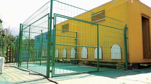 铲屎官返乡,崽子要寄养还是托人上门喂?专家这样说… 铲屎官返乡,崽子要寄养还是托人上门喂?专家这样说…