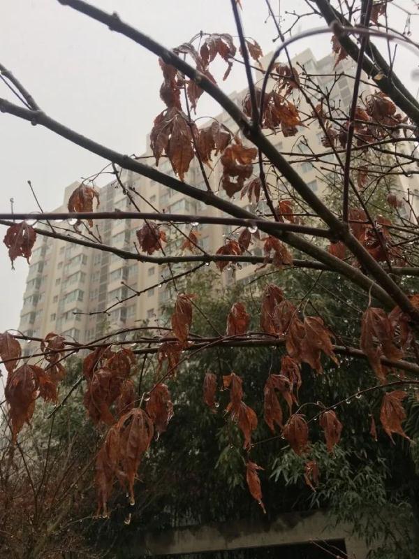 西安继续发布预警！本轮雨雪天气何时结束？